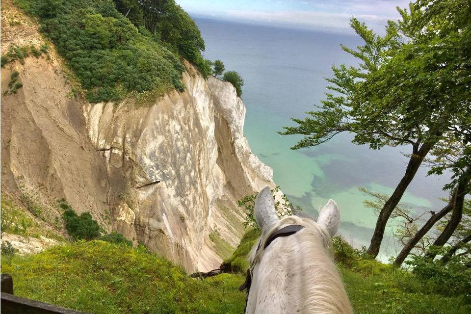 We bring you back to nature at Camp MÃ¸ns Klint in Denmark